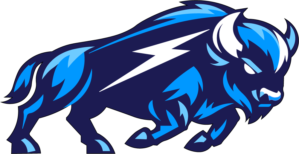 Bison Engineering logo